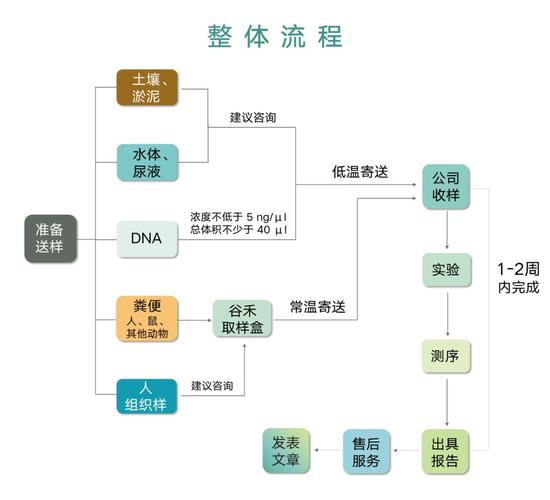 揭秘试管助孕成功率背后的核心逻辑与实操避坑指南