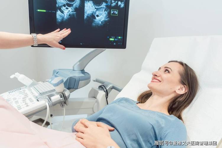 揭秘试管助孕成功率高吗？小白必看建议收藏的备孕指南